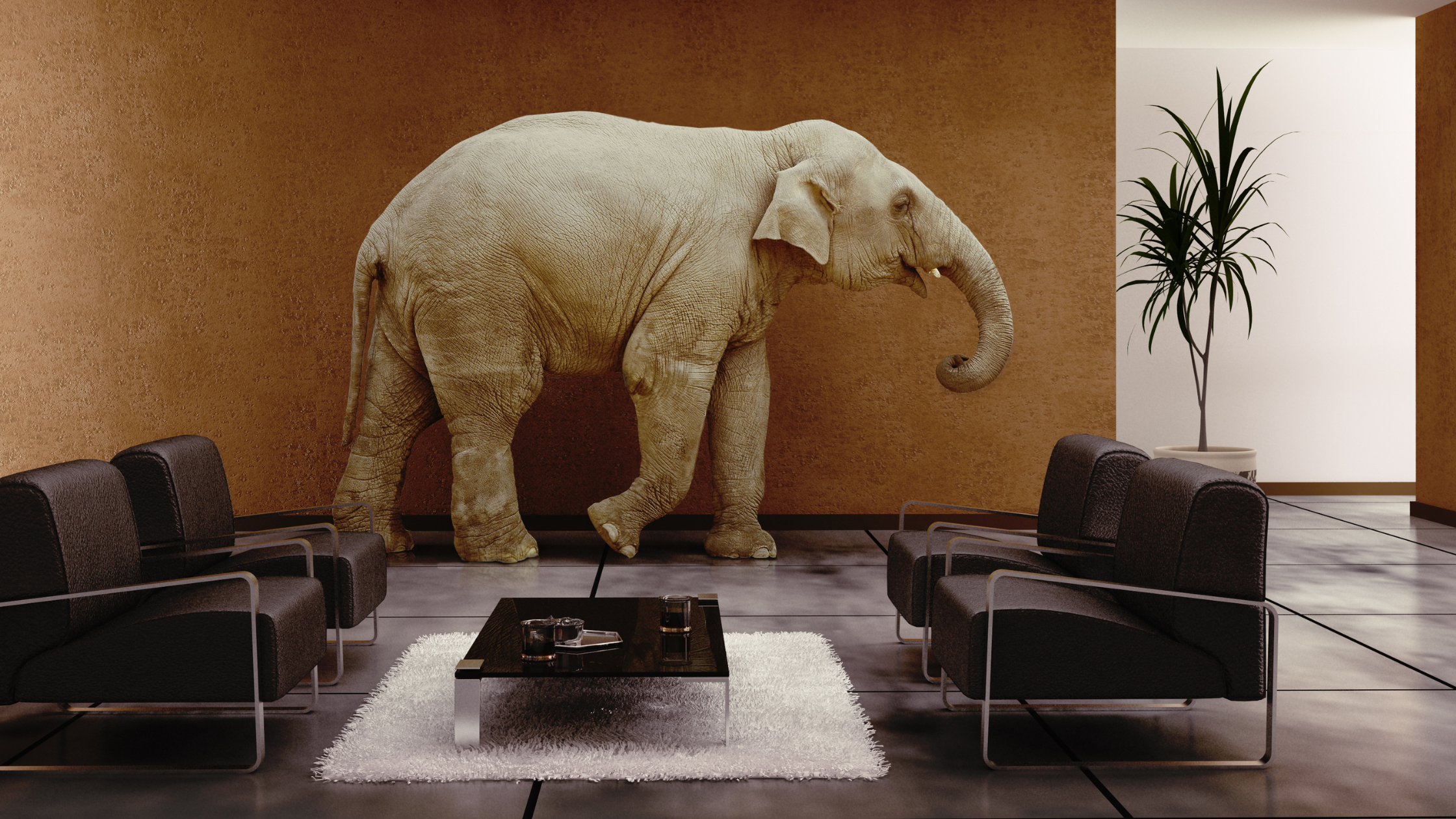 elephant in the dealership